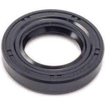 Black OEM Hydraulic Shaft NBR Rubber Double Lips Tc Oil Seal